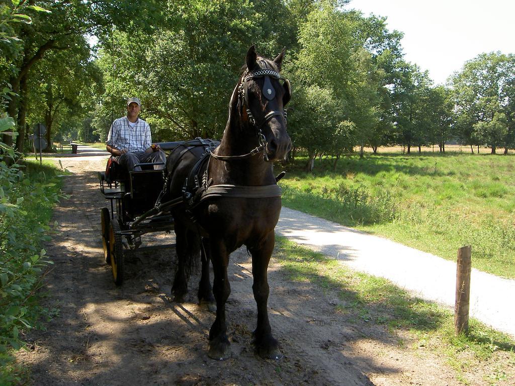 Hoeve Den Anholt Villa Ruinen Luaran gambar