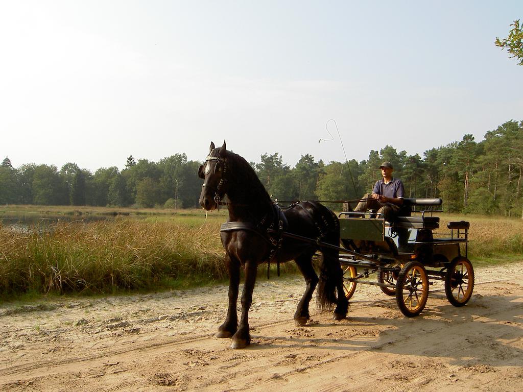 Hoeve Den Anholt Villa Ruinen Luaran gambar
