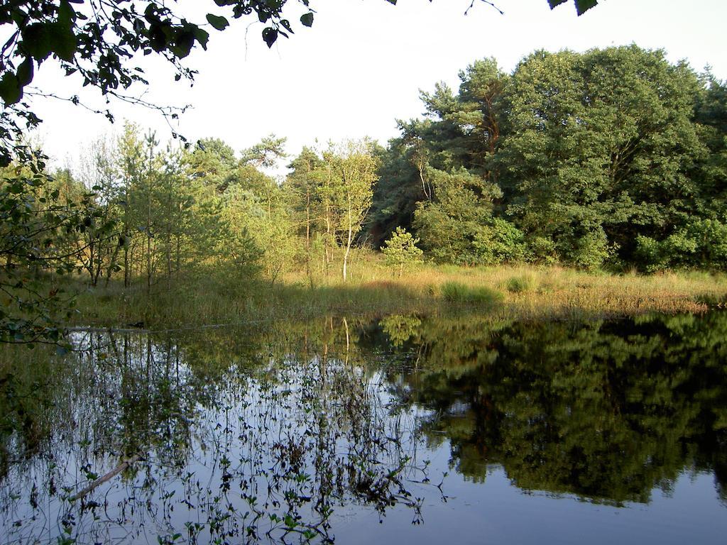 Hoeve Den Anholt Villa Ruinen Luaran gambar