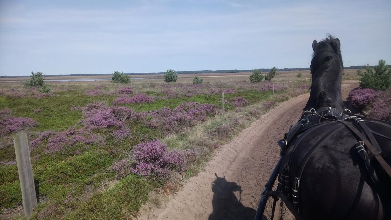 Hoeve Den Anholt Villa Ruinen Luaran gambar