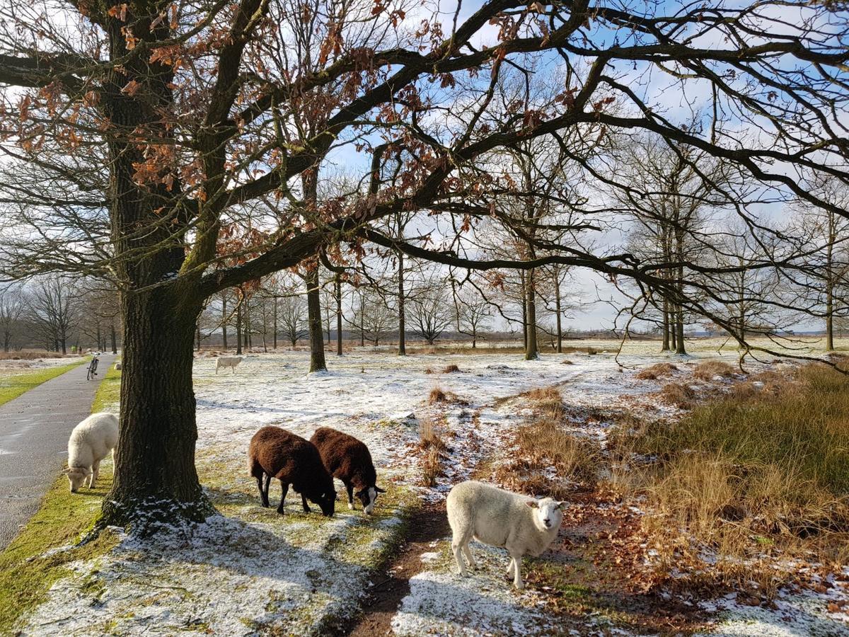 Hoeve Den Anholt Villa Ruinen Luaran gambar