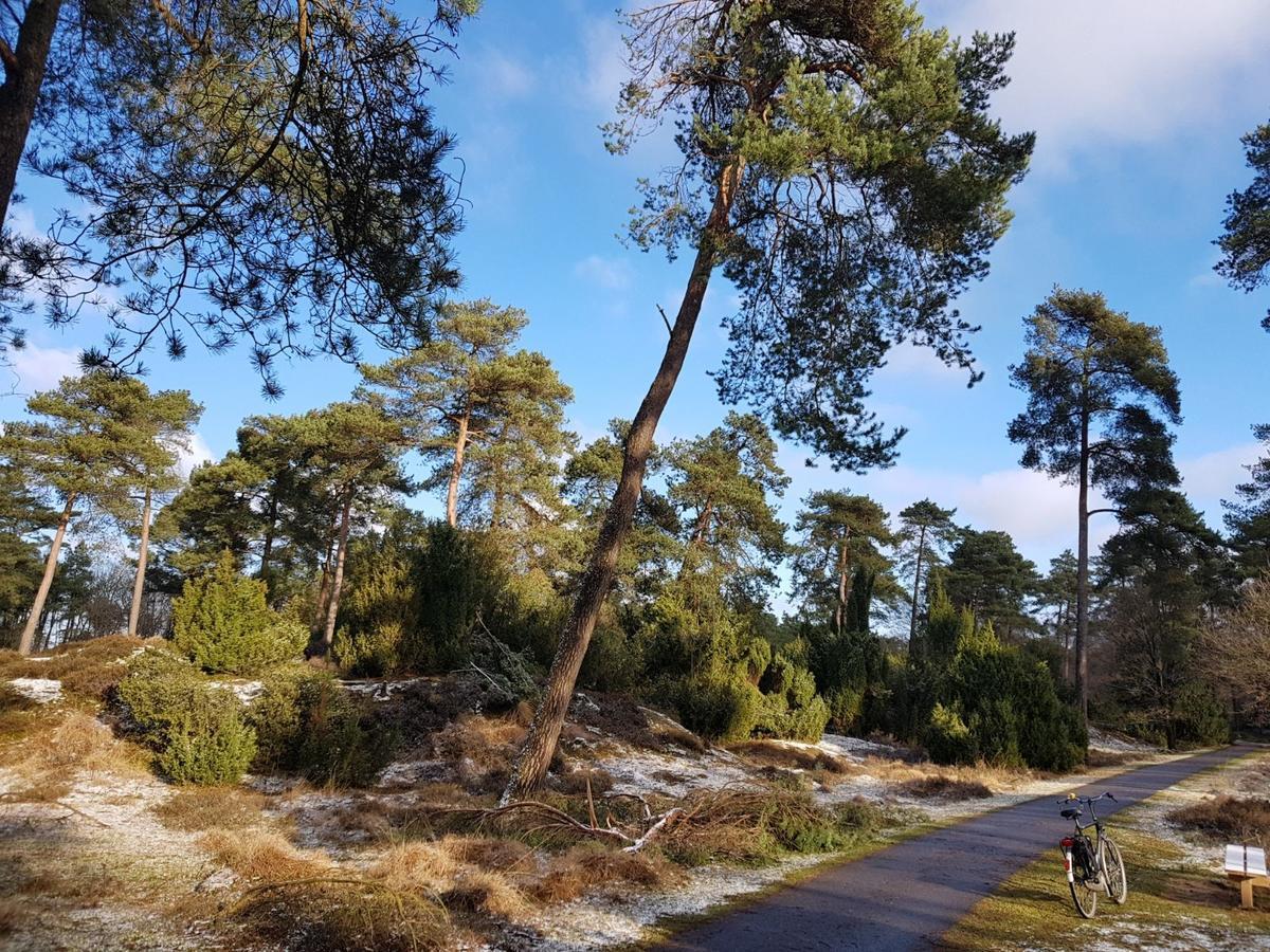 Hoeve Den Anholt Villa Ruinen Luaran gambar