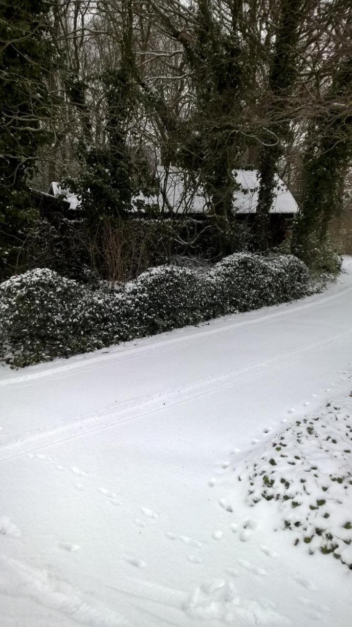 Hoeve Den Anholt Villa Ruinen Luaran gambar