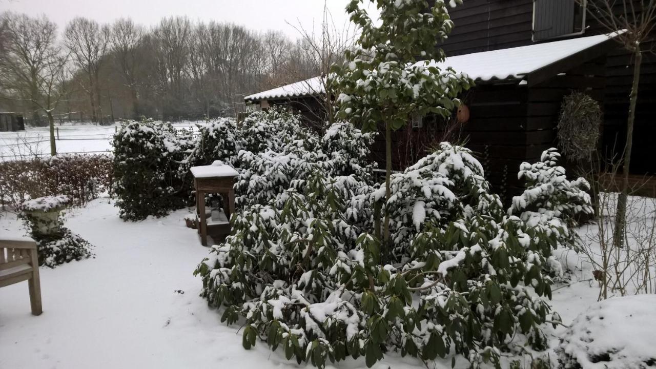 Hoeve Den Anholt Villa Ruinen Luaran gambar