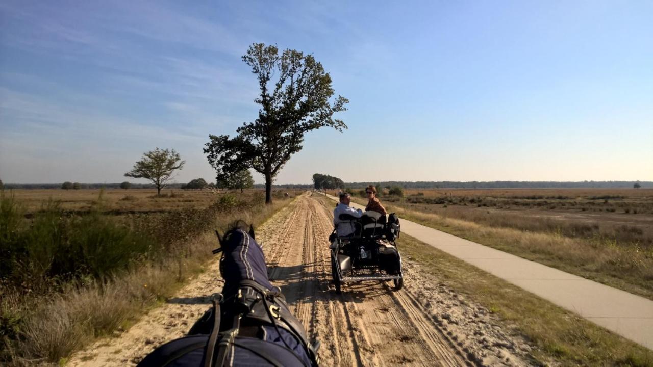 Hoeve Den Anholt Villa Ruinen Luaran gambar