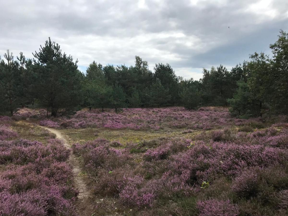 Hoeve Den Anholt Villa Ruinen Luaran gambar