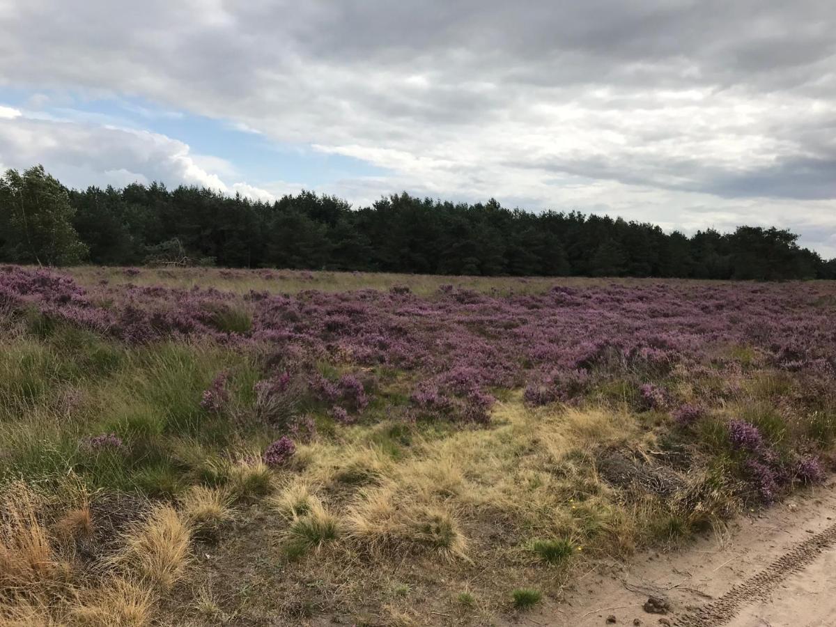 Hoeve Den Anholt Villa Ruinen Luaran gambar