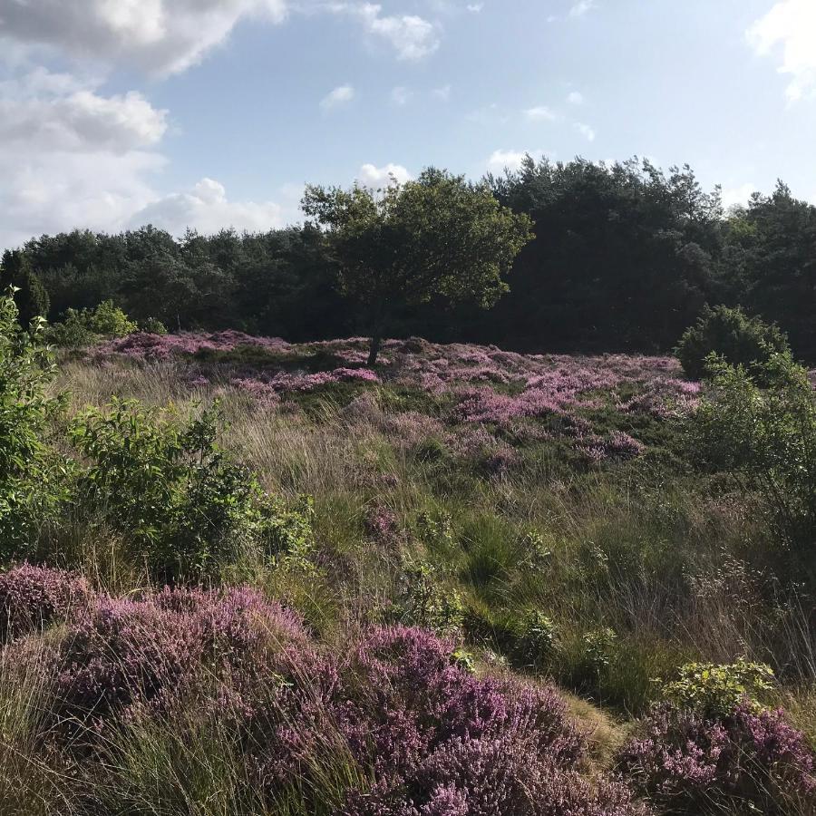 Hoeve Den Anholt Villa Ruinen Luaran gambar