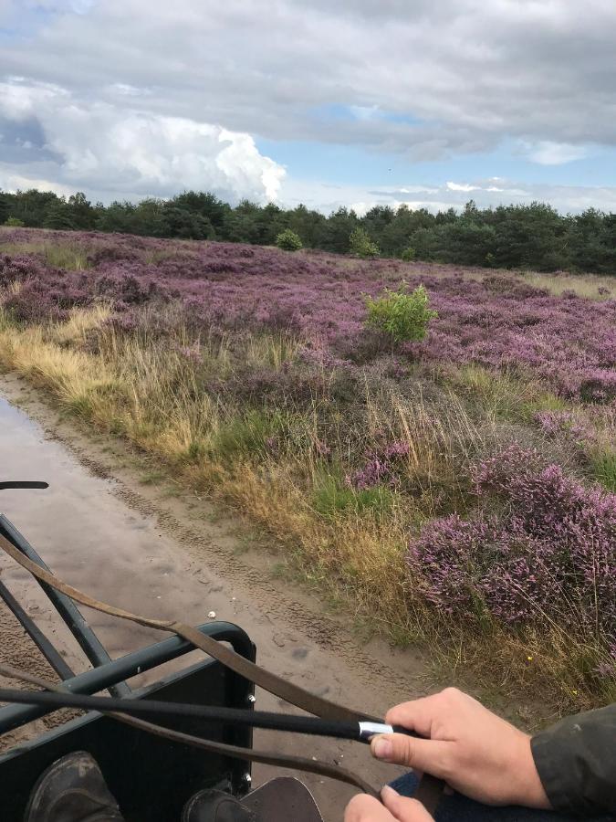 Hoeve Den Anholt Villa Ruinen Luaran gambar